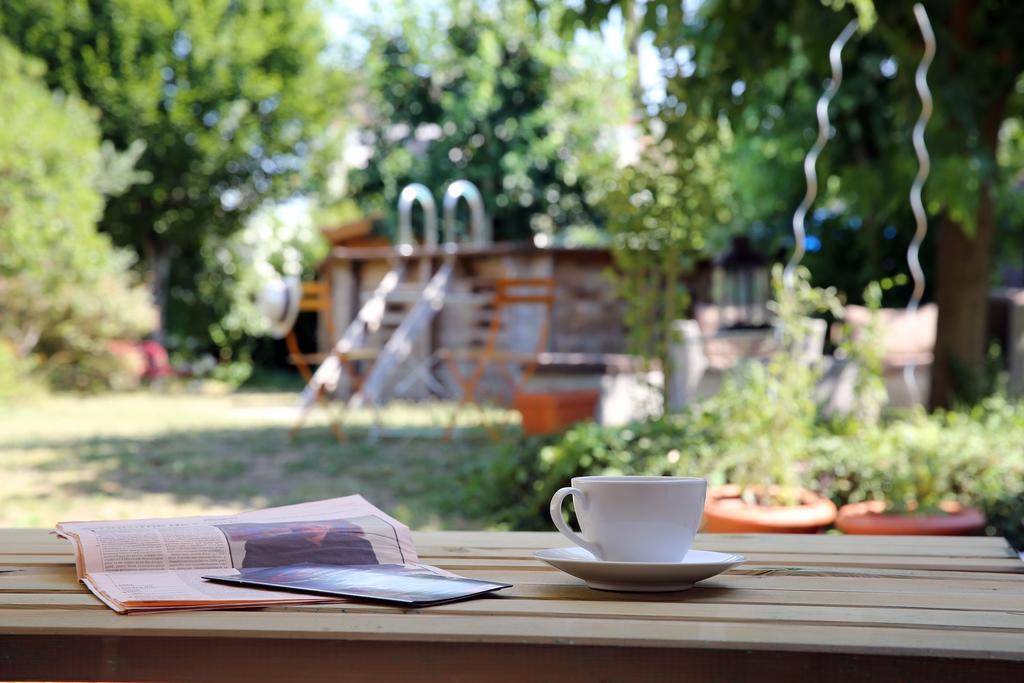 Chambres D'Hotes Villa Bellevue Albi Ngoại thất bức ảnh