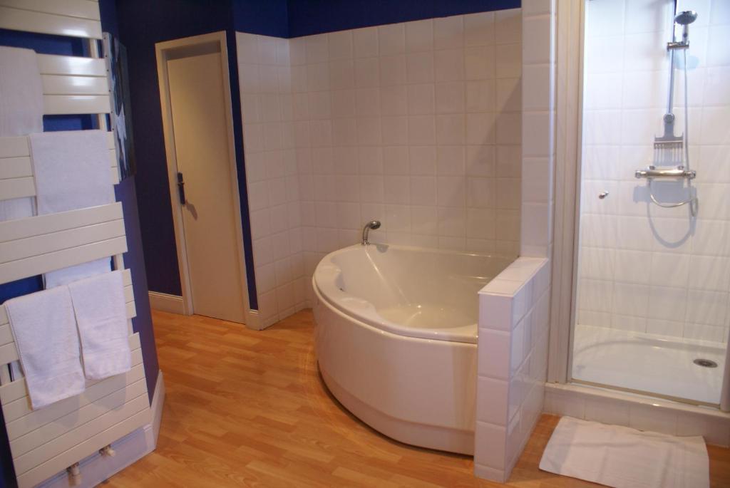 Chambres D'Hotes Villa Bellevue Albi Ngoại thất bức ảnh